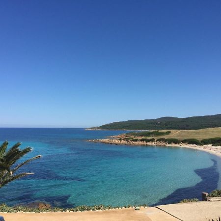 Ajaccio Magnifique T2 45M2 Neuf 5 Personnes Clim Wifi Stationnement Gratuit Centre Ville Plage A 300M Exteriér fotografie